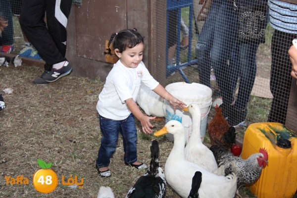 mahrajan thaqafa thirs (15).JPG